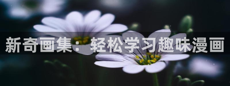 51漫画迷欲绑架：新奇画集：轻松学习趣味漫画