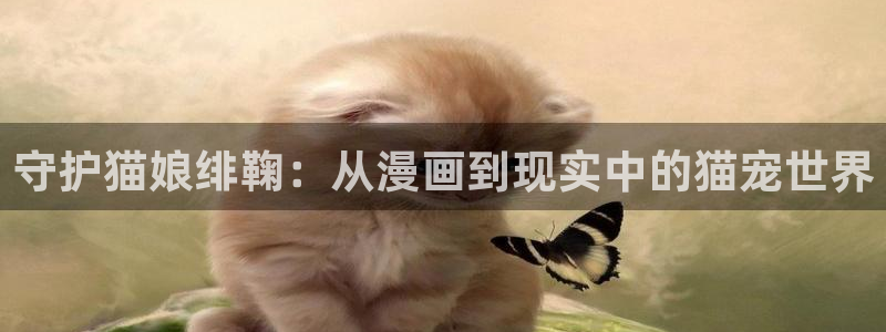 51漫画,免费：守护猫娘绯鞠：从漫画到现实中的猫宠世界