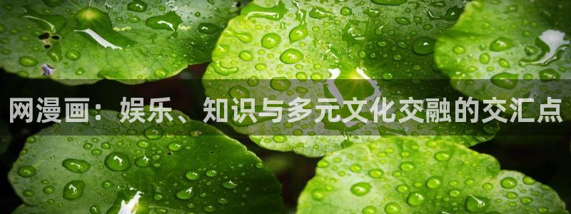 51漫画官网免费版观看：网漫画：娱乐、知识与多元文化交融的交汇点