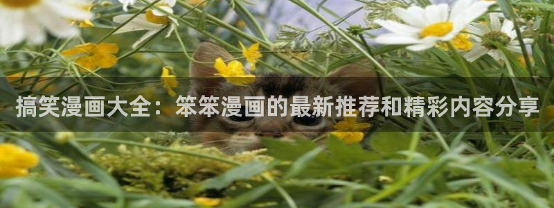 51漫画真人版免费观看：搞笑漫画大全：笨笨漫画的最新推荐和精彩内容分享