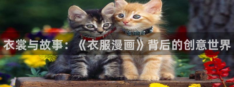 51漫画网址入口：衣裳与故事：《衣服漫画》背后的创意世界
